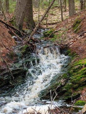 KELT Lilly Pond Community Forest