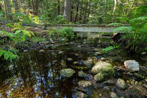 KELT Lilly Pond Community Forest