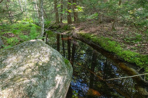 KELT Lilly Pond Community Forest