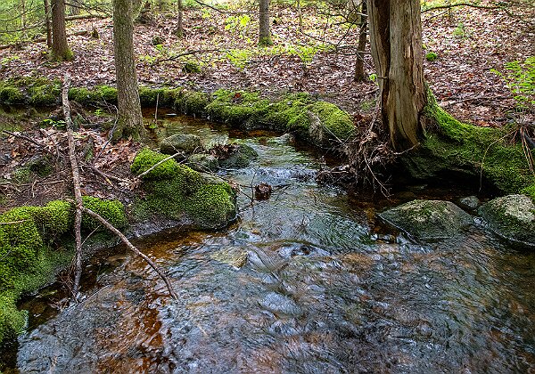 Bath Maine Bath Maine 10 images