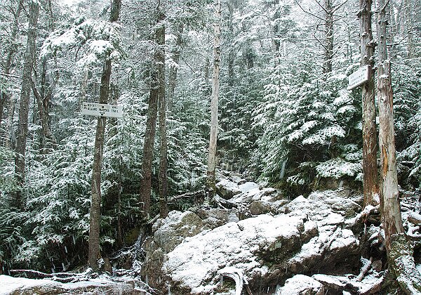 The White Mountains The White Mountains Photos from the White Mountains of New Hampshire across the seasons. Also some shots taken at Limmer...