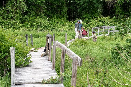 Smith-Nawazelski Conservation Area - Bay Circuit Trail