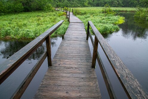 Smith-Nawazelski Conservation Area - Bay Circuit Trail