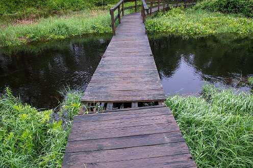Smith-Nawazelski Conservation Area - Bay Circuit Trail