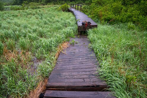 Smith-Nawazelski Conservation Area - Bay Circuit Trail