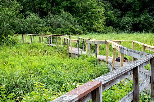 Smith-Nawazelski Conservation Area - Bay Circuit Trail