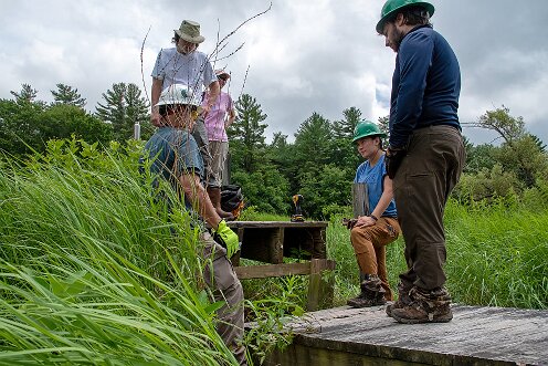 Smith-Nawazelski Conservation Area - Bay Circuit Trail