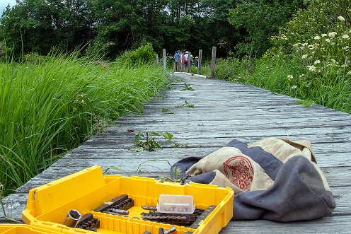 Smith-Nawazelski Conservation Area - Bay Circuit Trail