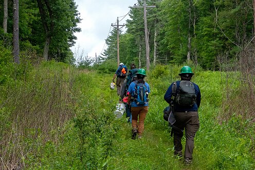 Smith-Nawazelski Conservation Area - Bay Circuit Trail