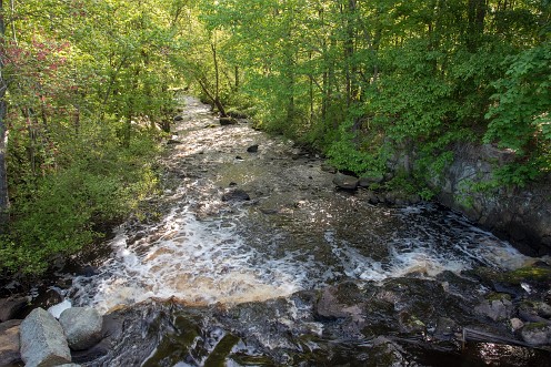 Rocky Run Conservation area along side the Indian Head River