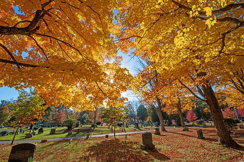 Fern_Hill_Cemetary-3