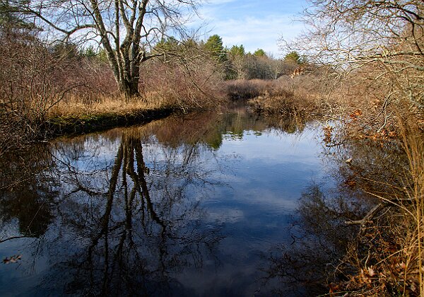 Town of Hanson Conservation properties. Town of Hanson Conservation properties. Photos from various spots in Town of Hanson Conservation properties. 23 images