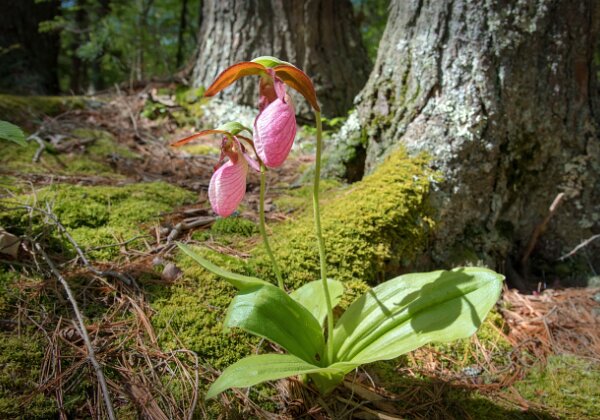 Rocky Run Photos Rocky Run Photos 47 images