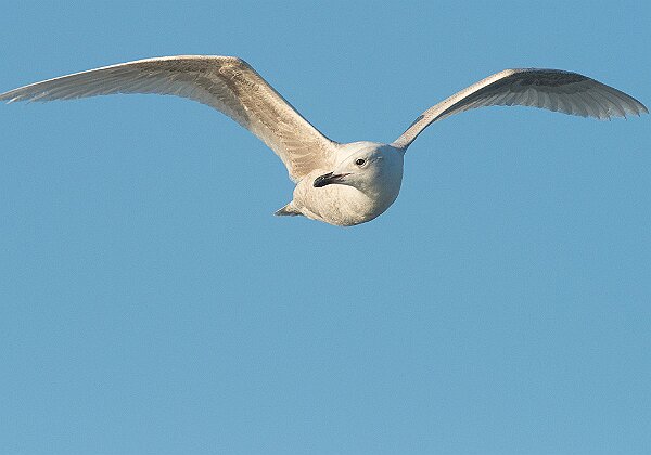 April 2014 April 2014 S4 Trip April 2014 25 images