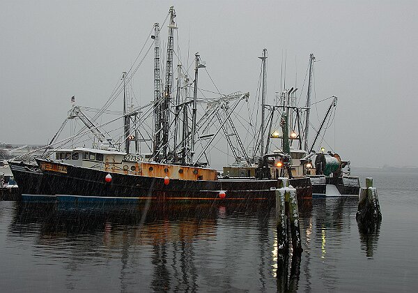 Recently added Recently added --> 29 images