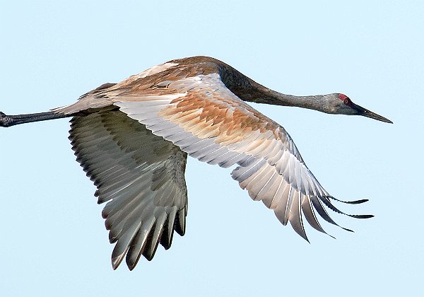 Burrage Pond Wildlife Management Area. Mass WMAs are public areas that are protected to provide habitat for wildlife and...