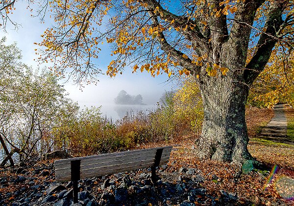 Photos from around the town of Hanson 216 images