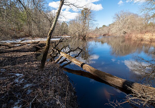 Wildlands Trust Photos Wildlands Trust Photos --> Photos from Wildlands Trust preserves around the the South Shore and southeastern Mass. 666...