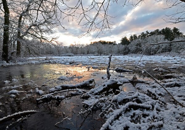 Wildlands Trust Photos Wildlands Trust Photos --> Photos from Wildlands Trust preserves around the the South Shore and southeastern Mass. 670...