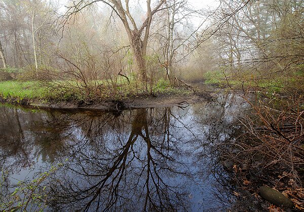 Wildlands Trust Photos Wildlands Trust Photos Photos from Wildlands Trust preserves around the the South Shore and southeastern Mass. 659...