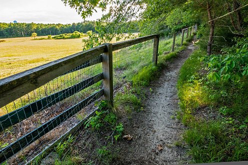 Wildlands_Trust_Great_Neck-10