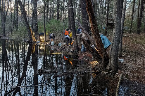 Wildlands Trust 2021 Vernal Pool Hike.