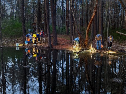Wildlands Trust 2021 Vernal Pool Hike.