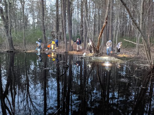 Wildlands Trust 2021 Vernal Pool Hike.