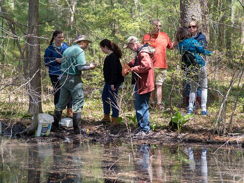 Striar_Vernal_Pools-03