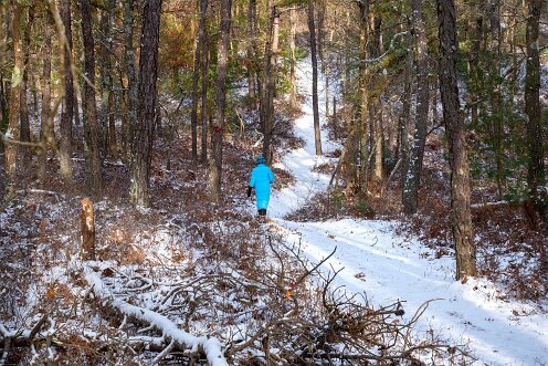 Trail leading to Pinnacle Hill, Plymouth.