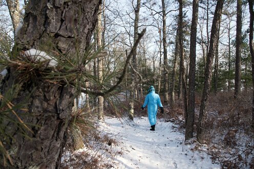 Wildlands Trust - Luigi and Teotista Cortelli Preserve
