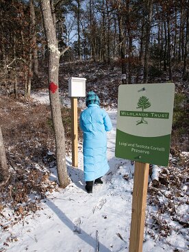 Wildlands Trust - Luigi and Teotista Cortelli Preserve