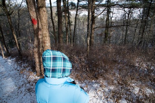 Wildlands Trust - Luigi and Teotista Cortelli Preserve