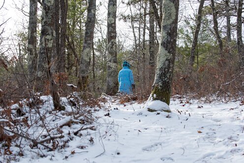 Wildlands Trust - Luigi and Teotista Cortelli Preserve