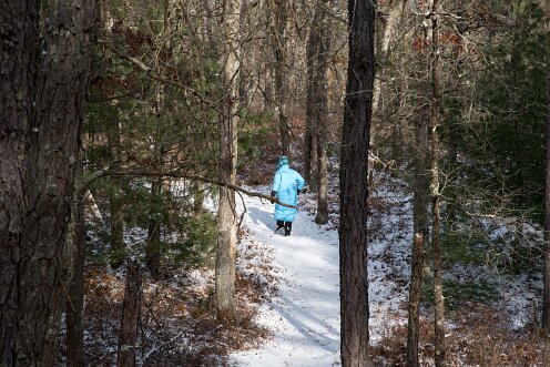 Wildlands Trust - Luigi and Teotista Cortelli Preserve
