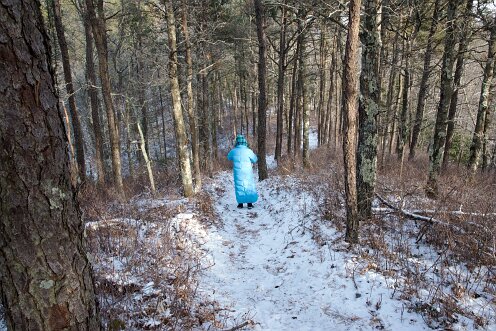 Wildlands Trust - Luigi and Teotista Cortelli Preserve