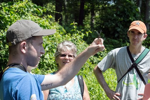 Great River Preserve - Dragonfly walk