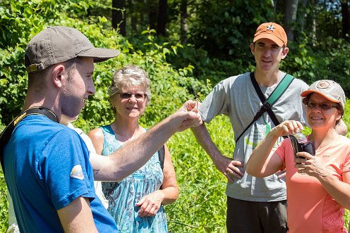 Great River Preserve - Dragonfly walk