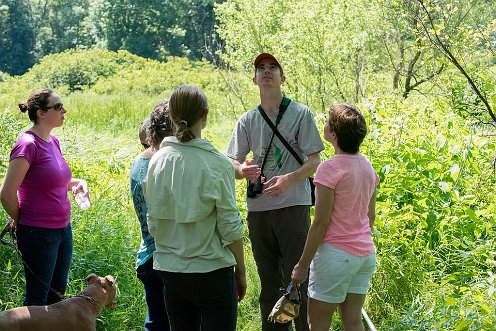 Great River Preserve - Dragonfly walk