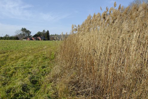 Great River Preserve