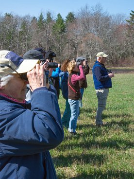 Mass Audubon's Wayne Petersen leads bird walk at Great River Preserve