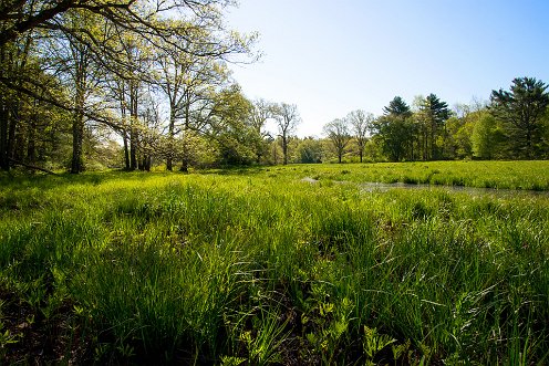 Great River Preserve Wildlands Trust