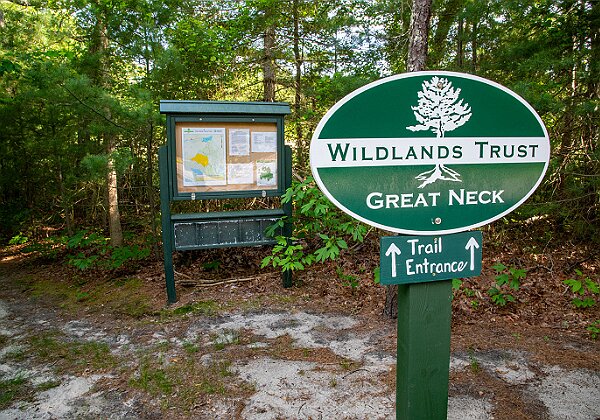 Great Neck Conservation Area - Wareham, MA Great Neck Conservation Area - Wareham, MA This preserve is comprised of three different parcels of land. Jack’s Marsh...
