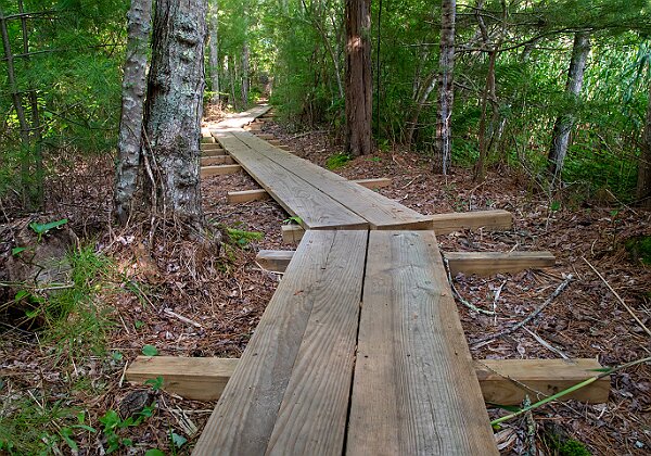 Great Neck Conservation Area - Wareham, MA Great Neck Conservation Area - Wareham, MA This preserve is comprised of three different parcels of land. Jack’s Marsh...