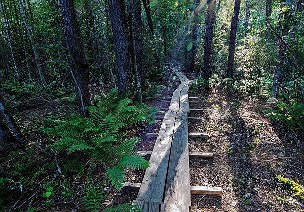 Great Neck Conservation Area - Wareham, MA Great Neck Conservation Area - Wareham, MA This preserve is comprised of three different parcels of land. Jack’s Marsh...