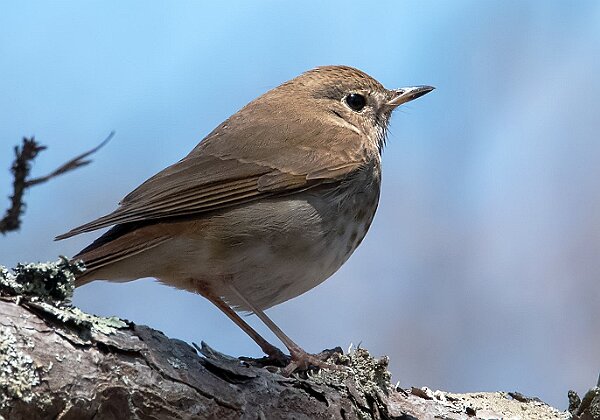 Halfway-Pond Halfway-Pond 13 images