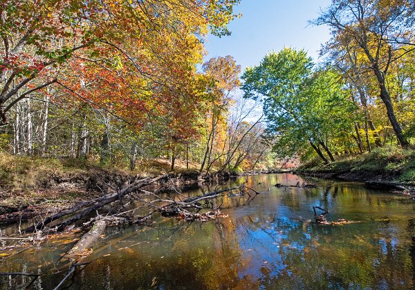 North Fork Preserve and Perkins - Bridgewater North Fork Preserve and Perkins - Bridgewater The Northfork Preserve and Perkins Conservation area straddle the Taunton...