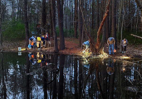 Vernal Pools at Striar Conservancy Vernal Pools at Striar Conservancy Vernal Pool observations from the Wildlands Trust Striar Conservancy in Halifax, MA....