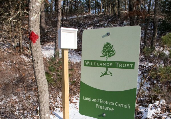 Cortelli Preserve Cortelli Preserve The Leo and Teotista Cortelli Preserve near Great South Pond in Plymouth. This trail was blazed and...