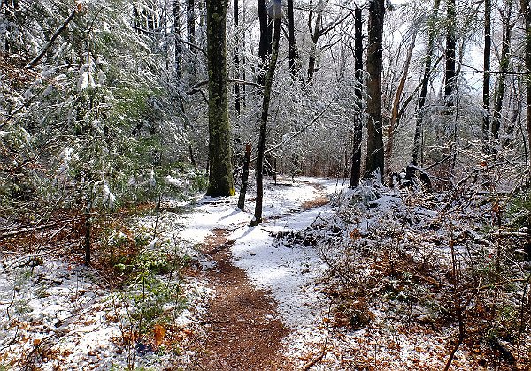 Striar Conservancy - Wildlands Trust Striar Conservancy - Wildlands Trust The Wildlands Trust Striar Conservancy is located in Halifax along Route 105...